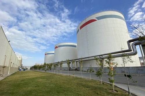 安琪酵母海外工厂 扎根当地，共筑绿色未来