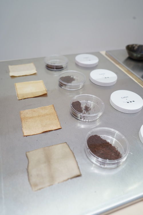 提高环保意识不只靠走塑 9件你意想不到的环保再生产品